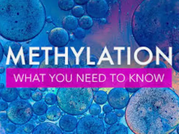 what-is-Methylation